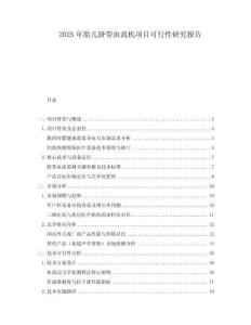2025年胎兒臍帶血流機(jī)項(xiàng)目可行性研究報(bào)告