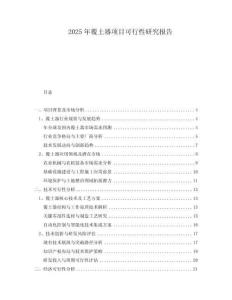 2025年覆土器項目可行性研究報告