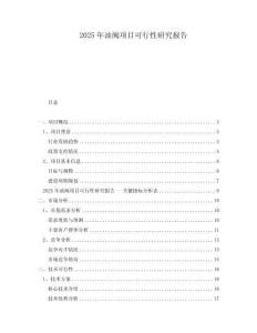 2025年油閥項(xiàng)目可行性研究報(bào)告