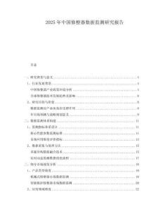 2025年中國修整器數據監測研究報告