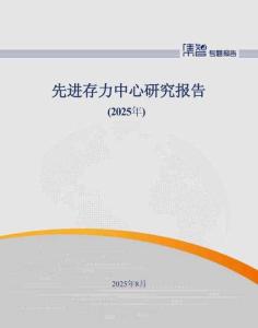 先進(jìn)存力中心研究報(bào)告（2025年）