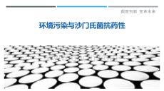 環(huán)境污染與沙門(mén)氏菌抗藥性-洞察與解讀