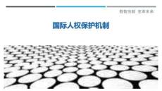 國際人權(quán)保護機制-洞察與解讀