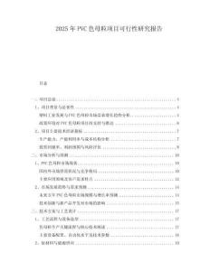 2025年P(guān)VC色母粒項(xiàng)目可行性研究報(bào)告