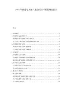 2025年防靜電屏蔽氣泡袋項目可行性研究報告