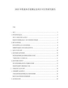 2025年鐵素體含量測定儀項目可行性研究報告