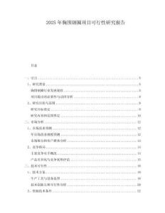 2025年胸圍鋼圈項(xiàng)目可行性研究報(bào)告