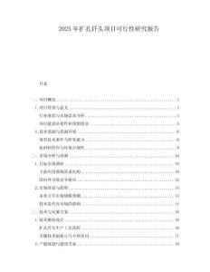 2025年擴孔釬頭項目可行性研究報告