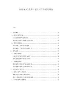 2025年VC泡騰片項(xiàng)目可行性研究報(bào)告