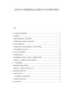 2025年中倍數(shù)泡沫滅火系統(tǒng)項目可行性研究報告