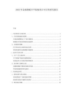 2025年金屬薄板開平膠輥項目可行性研究報告