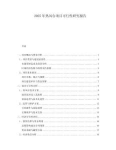 2025年熱風(fēng)臺(tái)項(xiàng)目可行性研究報(bào)告