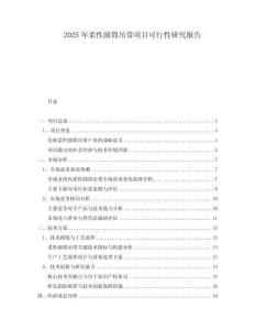 2025年柔性圓筒吊帶項目可行性研究報告