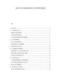 2025年省力鋼絲鉗項(xiàng)目可行性研究報告