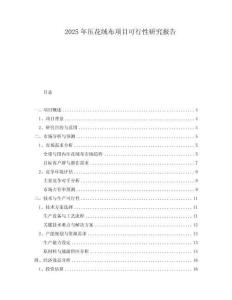 2025年壓花絨布項(xiàng)目可行性研究報(bào)告