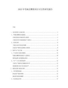 2025年彎柄尖嘴鉗項(xiàng)目可行性研究報(bào)告