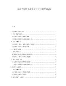 2025年咸干小黃魚項目可行性研究報告