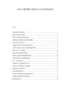 2025年葡萄椰子麥條項(xiàng)目可行性研究報(bào)告