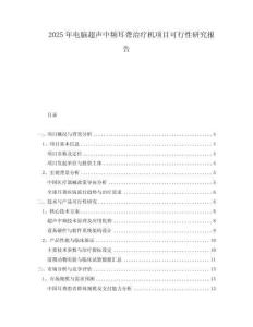 2025年電腦超聲中頻耳聾治療機項目可行性研究報告