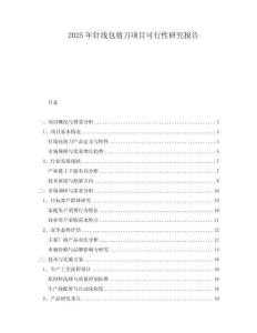 2025年針線包剪刀項目可行性研究報告