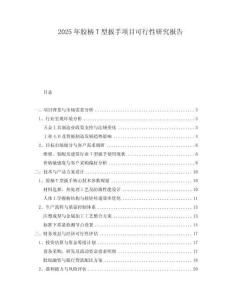 2025年膠柄T型扳手項目可行性研究報告