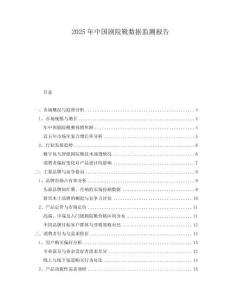 2025年中國劇院靴數據監測報告