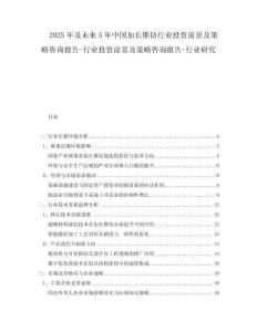 2025年及未來(lái)5年中國(guó)加長(zhǎng)錐鉆行業(yè)投資前景及策略咨詢報(bào)告-行業(yè)投資前景及策略咨詢報(bào)告-行業(yè)研究