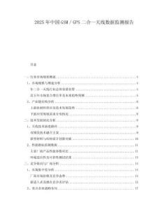 2025年中國GSM／GPS二合一天線數(shù)據(jù)監(jiān)測(cè)報(bào)告