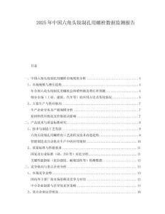 2025年中國六角頭鉸制孔用螺栓數(shù)據(jù)監(jiān)測報告