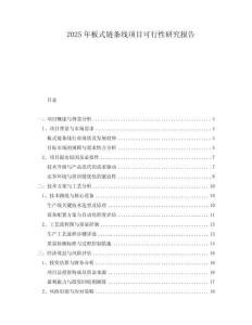 2025年板式鏈條線項目可行性研究報告