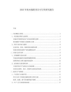 2025年軟木拖鞋項目可行性研究報告