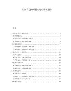 2025年氈布項目可行性研究報告