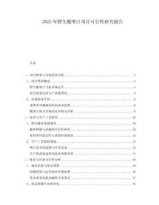 2025年野生酸棗汁項(xiàng)目可行性研究報(bào)告