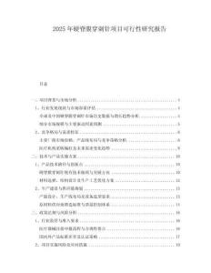 2025年硬脊膜穿刺針項目可行性研究報告