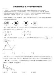 广西壮族钦州市灵山县2025届中考联考数学试卷含解析