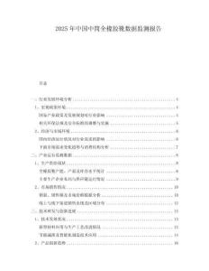 2025年中國中筒全橡膠靴數據監測報告