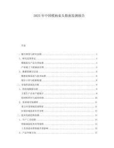2025年中國(guó)模柄束頭數(shù)據(jù)監(jiān)測(cè)報(bào)告