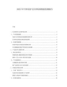 2025年中國雙盤馬步訓練器數據監測報告
