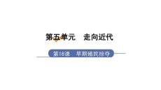 第16課 早期殖民掠奪 課件 初三歷史九年級(jí)上冊(cè)