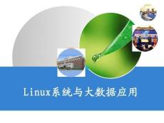 《Linux系統(tǒng)與大數(shù)據(jù)應(yīng)用》課件（下）