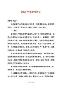2025年如梦令作文