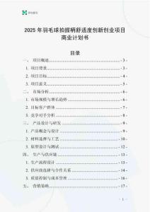 2025年羽毛球拍握柄舒適度創(chuàng)新創(chuàng)業(yè)項(xiàng)目商業(yè)計(jì)劃書(shū)