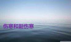 伤寒和副伤寒PPT课件