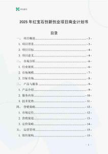 2025年红宝石创新创业项目商业计划书