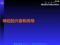 神經(jīng)的興奮和傳導(dǎo)PPT課件