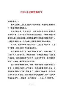 2025年夜晚故事作文