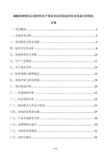 磷酸鐵鋰鋰電正極材料生產(chǎn)線項(xiàng)目經(jīng)濟(jì)效益和社會(huì)效益分析報(bào)告