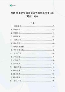 2025年電動管道流量調(diào)節(jié)器創(chuàng)新創(chuàng)業(yè)項目商業(yè)計劃書