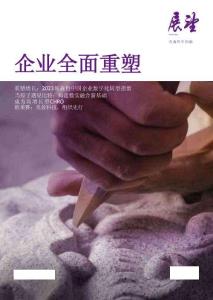 埃森哲 -展望 企業(yè)全面重塑