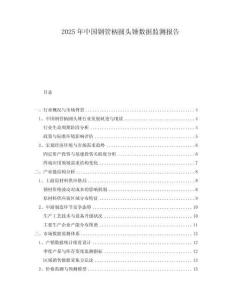 2025年中國鋼管柄圓頭錘數(shù)據(jù)監(jiān)測報告